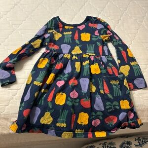 Hanna Andersson 4 dress